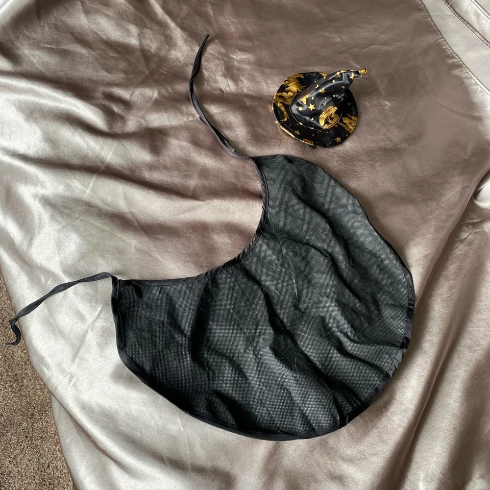 Witch Costume for Pet